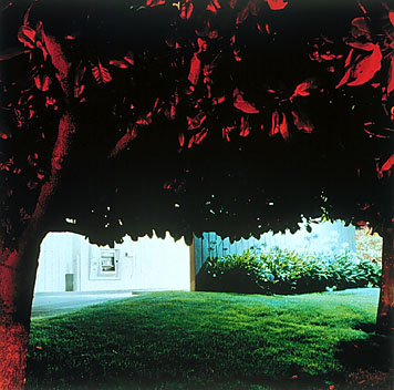 Yoshi Abe, Untitled #7